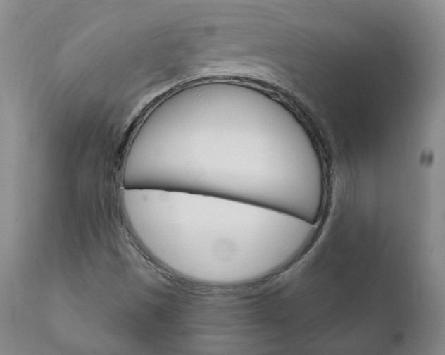 X0000111181497200907011020