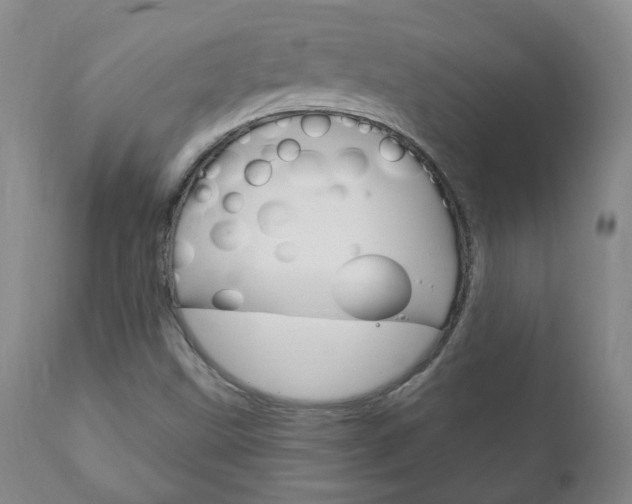 X0000111181499200907011020