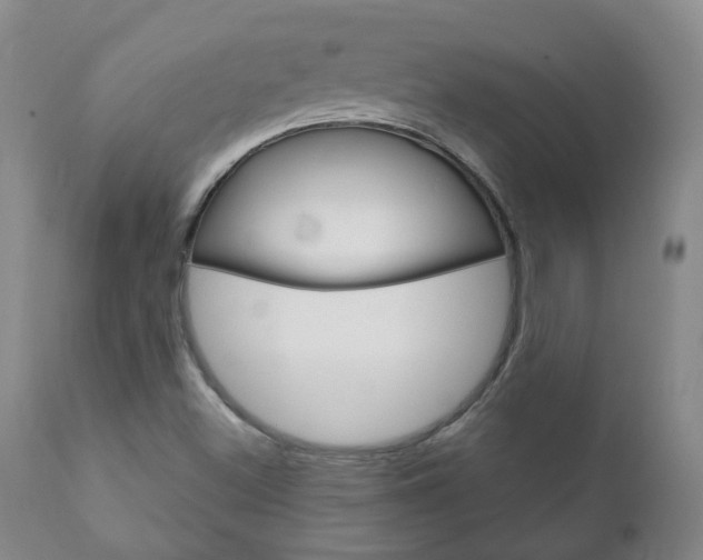 X0000111181500200907011020