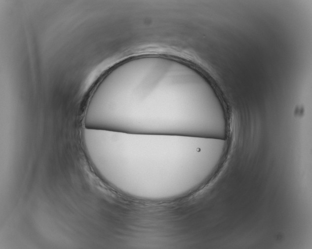 X0000111181501200907011020