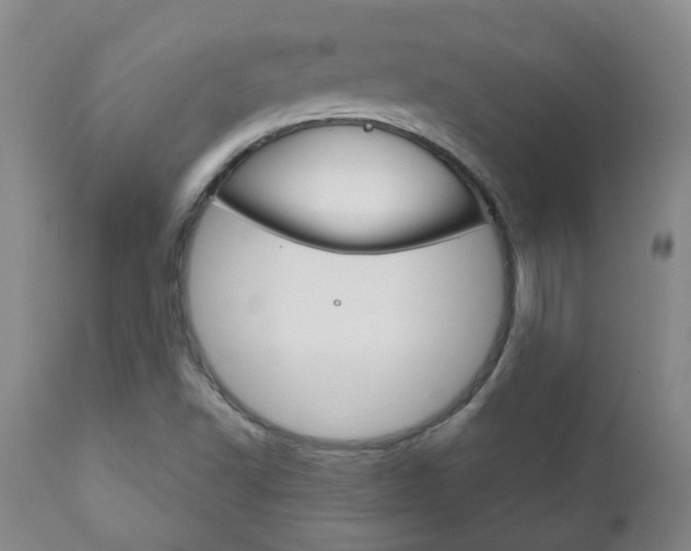 X0000111181502200907011020