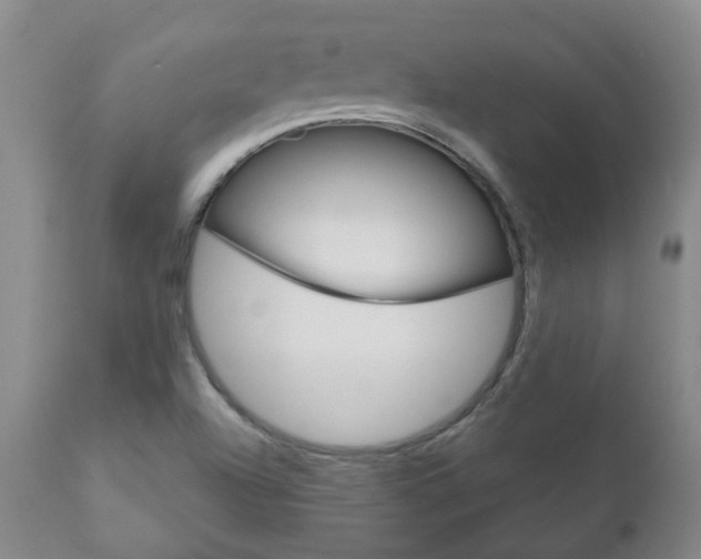 X0000111181504200907011020