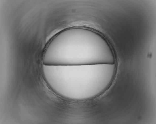 X0000111181505200907011020