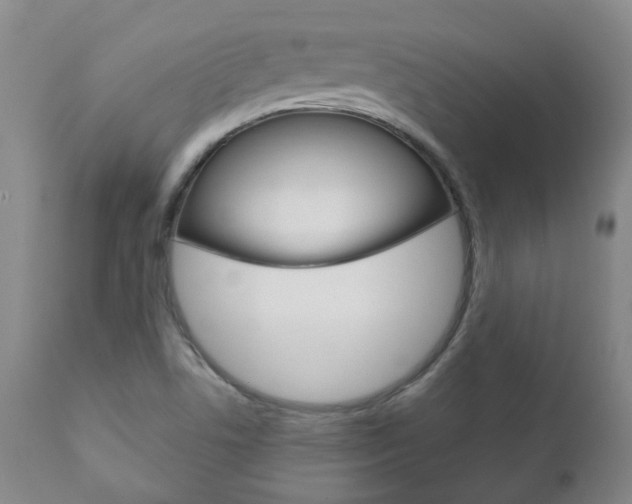 X0000111181506200907011020