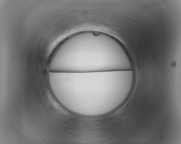 X0000111181507200907011020