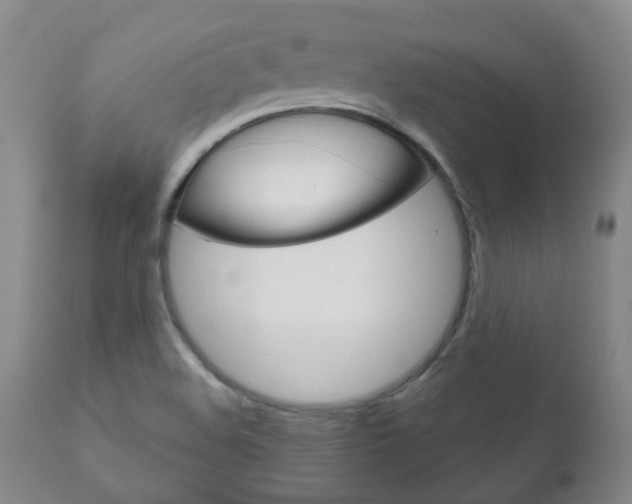 X0000111181508200907011020