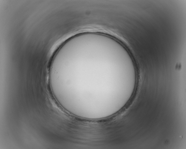 X0000111181509200907011020