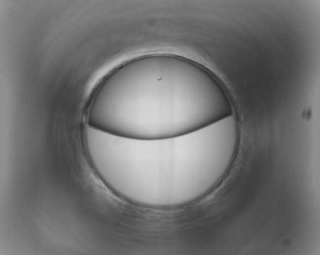 X0000111181510200907011020