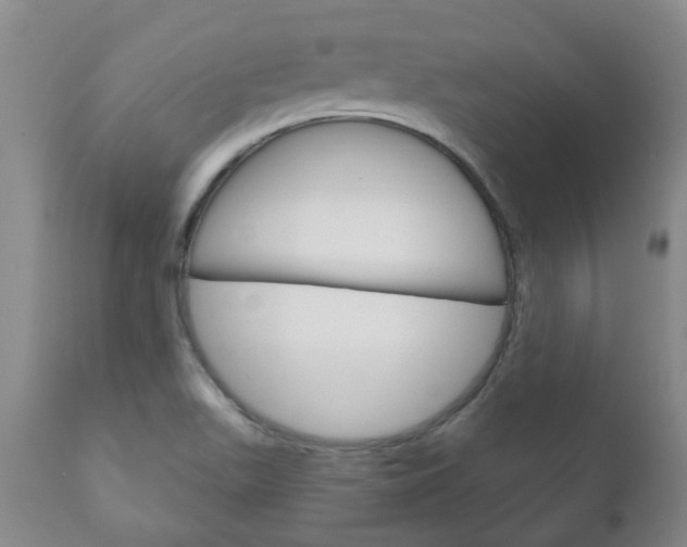 X0000111181511200907011020