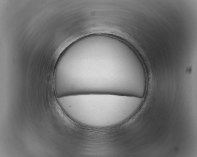 X0000111181513200907011020