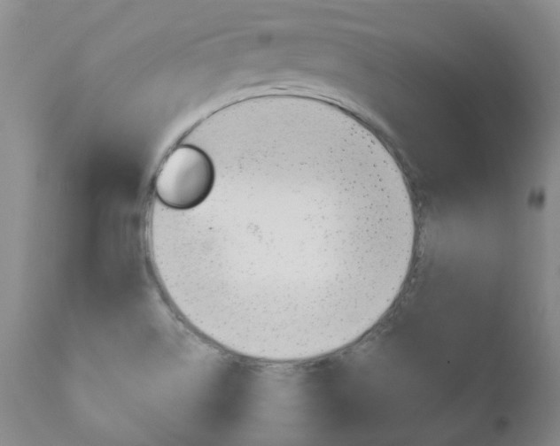 X0000111181514200907011020