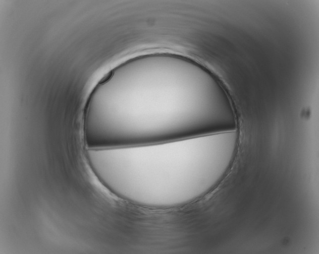 X0000111181516200907011020
