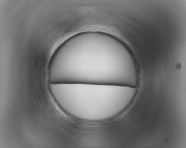 X0000111181517200907011020
