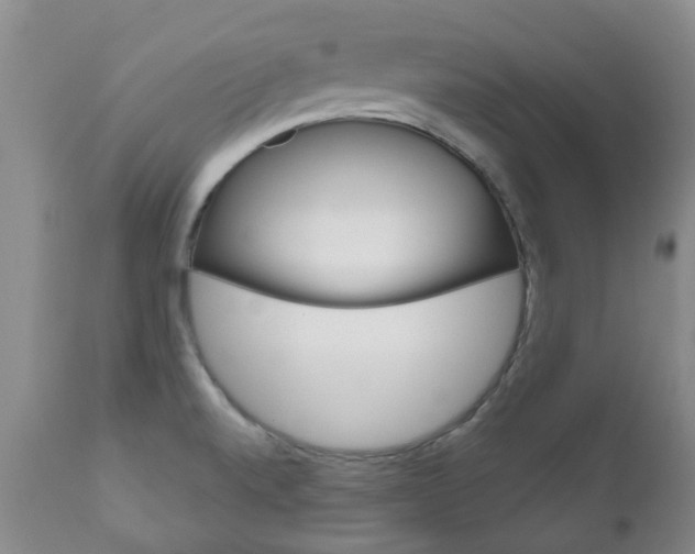 X0000111181520200907011020