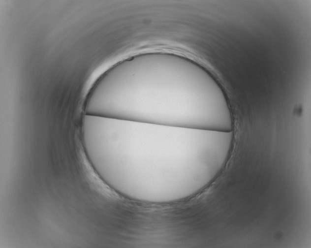 X0000111181522200907011020