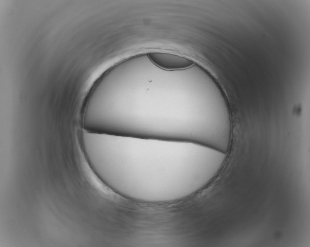 X0000111181523200907011020