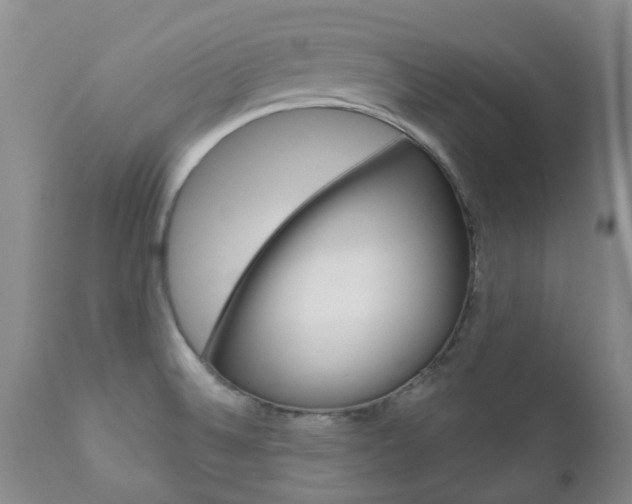 X0000111181524200907011020