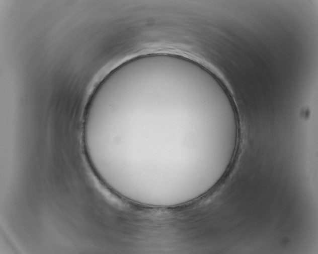 X0000111181525200907011020