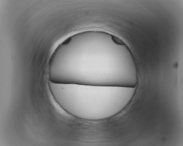 X0000111181526200907011020