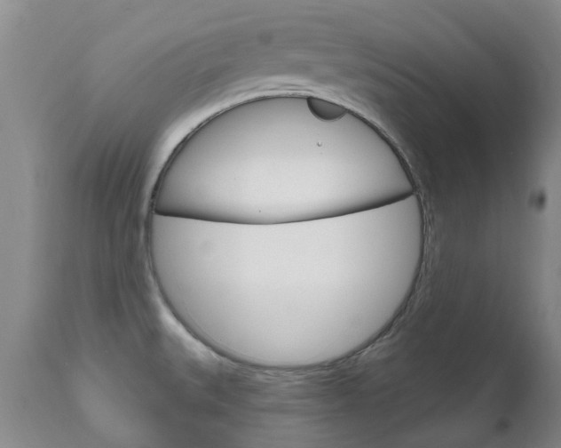 X0000111181527200907011020