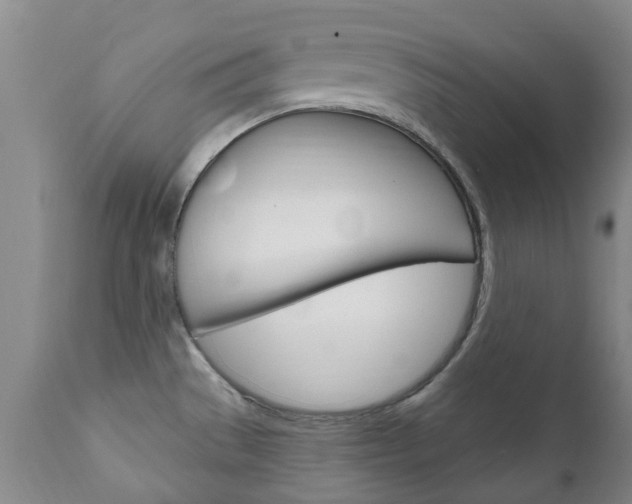 X0000111181529200907011020