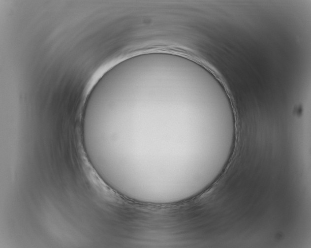 X0000111181530200907011020