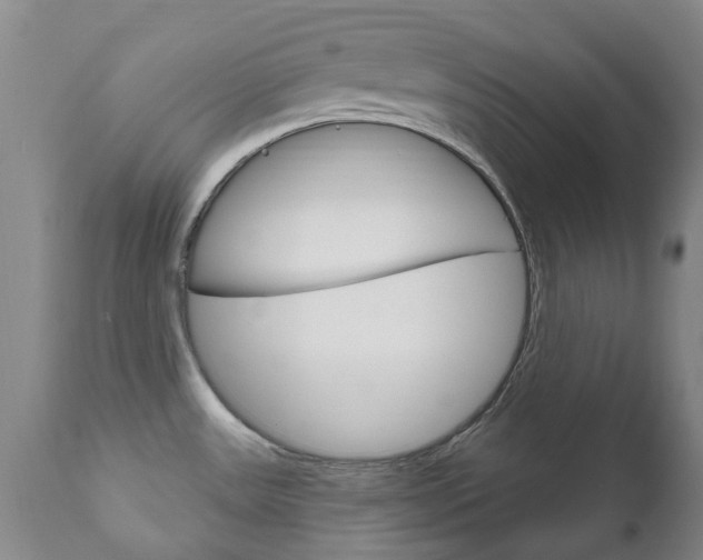 X0000111181531200907011020