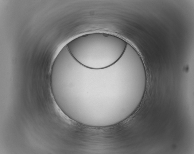 X0000111181532200907011020