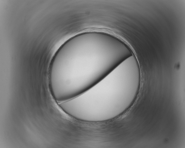X0000111181533200907011020