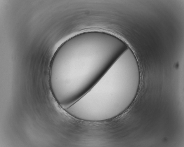X0000111181534200907011020