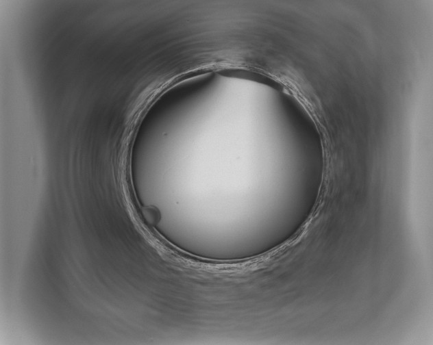 X0000111180001200907011419