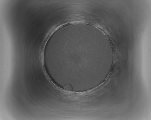 X0000111180002200907011419