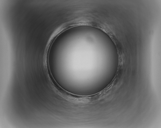 X0000111180004200907011419