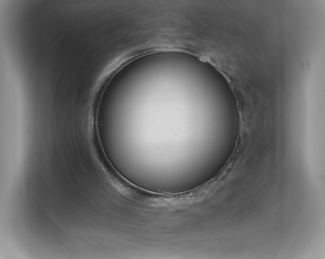 X0000111180005200907011419