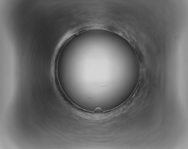 X0000111180006200907011419