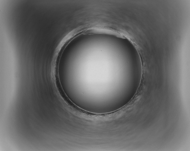 X0000111180007200907011419