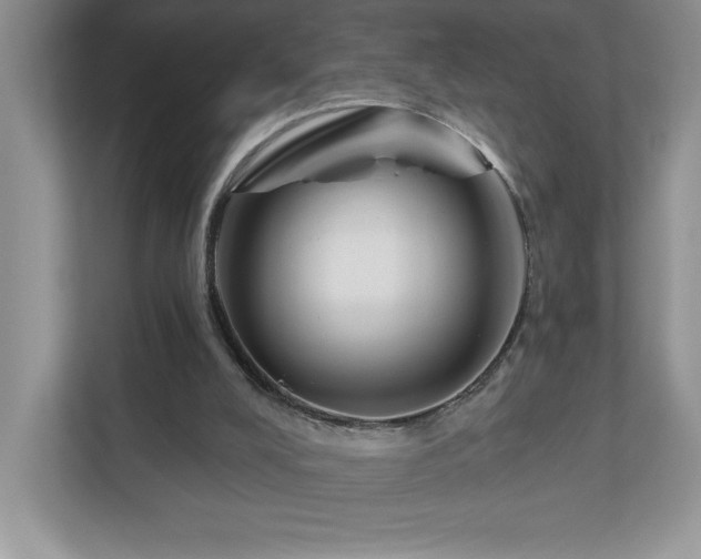 X0000111180008200907011419