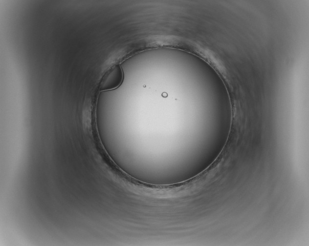 X0000111180010200907011419