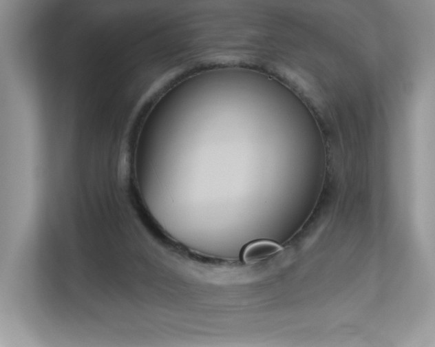 X0000111180016200907011419