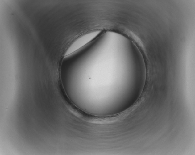 X0000111180017200907011419