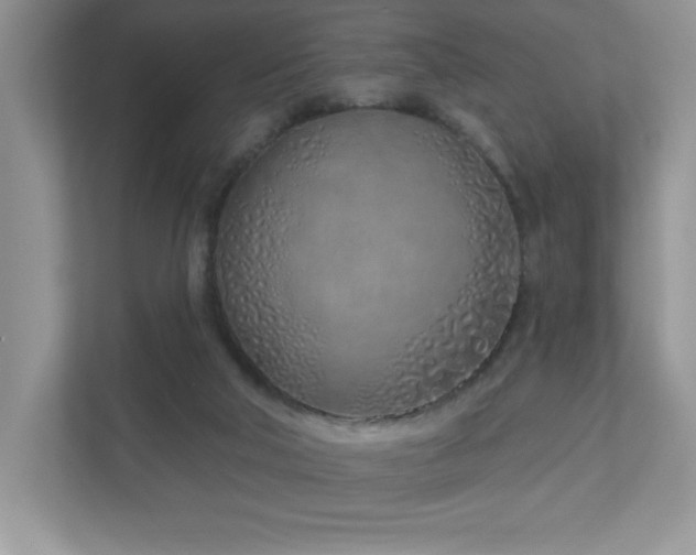 X0000111180018200907011419