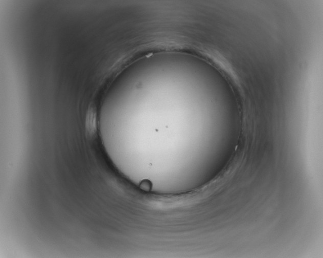 X0000111180021200907011419