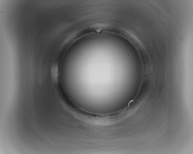 X0000111180024200907011419