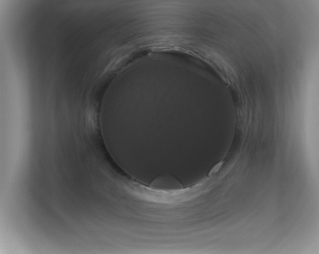 X0000111180035200907011419