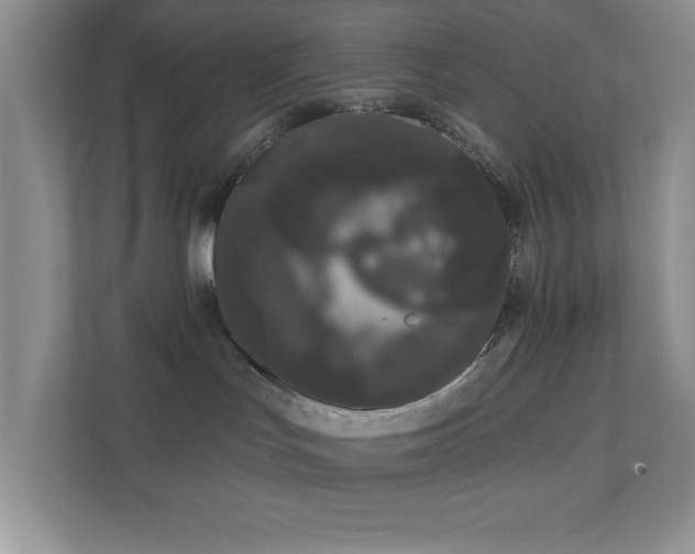 X0000111180047200907011419