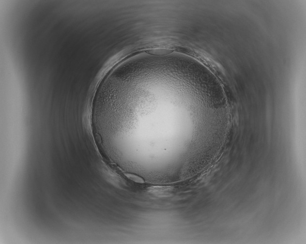 X0000111180051200907011418