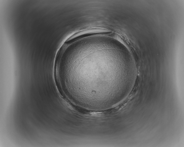 X0000111180052200907011418