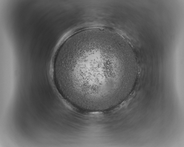 X0000111180053200907011418