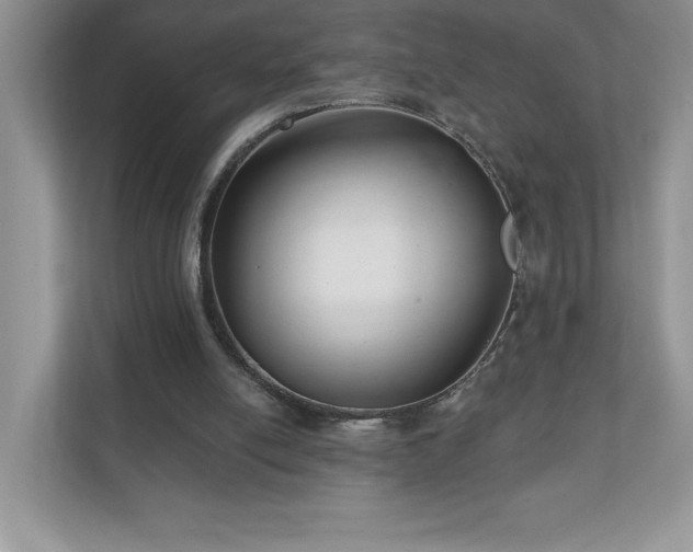 X0000111180054200907011418