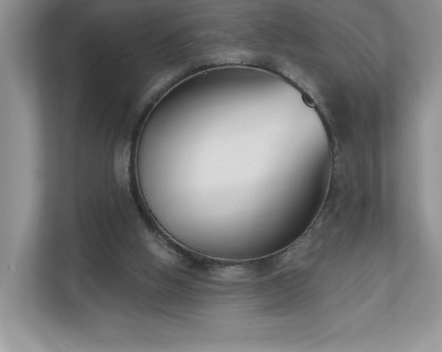 X0000111180058200907011418